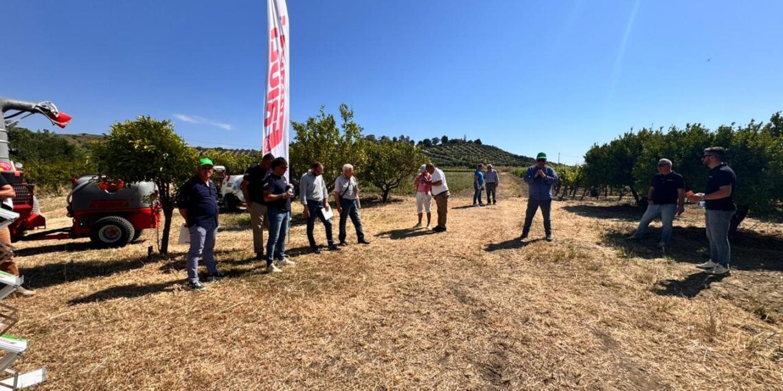 Smart Farming Day, grande partecipazione a Strongoli per l’evento dedicato all’innovazione agricola
