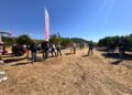 Smart Farming Day, grande partecipazione a Strongoli per l’evento dedicato all’innovazione agricola 6 Smart Farming Day, grande partecipazione a Strongoli per l’evento dedicato all’innovazione agricola
