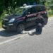 Cinque cuccioli di cane salvati dal Nucleo Carabinieri “Parco” di San Giorgio Morgeto
