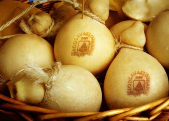 Consorzio di Tutela Formaggio Caciocavallo Silano DOP, Vito Pace rieletto presidente per il sesto mandato 7 Consorzio di Tutela Formaggio Caciocavallo Silano DOP, Vito Pace rieletto presidente per il sesto mandato