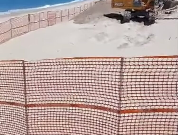Vibo Marina, lavori sulle spiagge: Schiavello (FdI) si schiera con balneari e cittadini: Basta incertezze