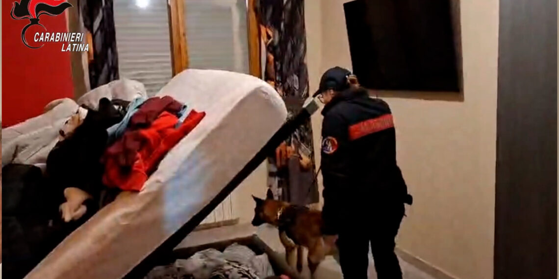 19 arresti nell'ambito di una vasta operazione dei Carabinieri che vede coninvolto un uomo legato alla cosca Morabito di Africo (VIDEO) 1 19 arresti nell’ambito di una vasta operazione dei Carabinieri che vede coninvolto un uomo legato alla cosca Morabito di Africo (VIDEO)