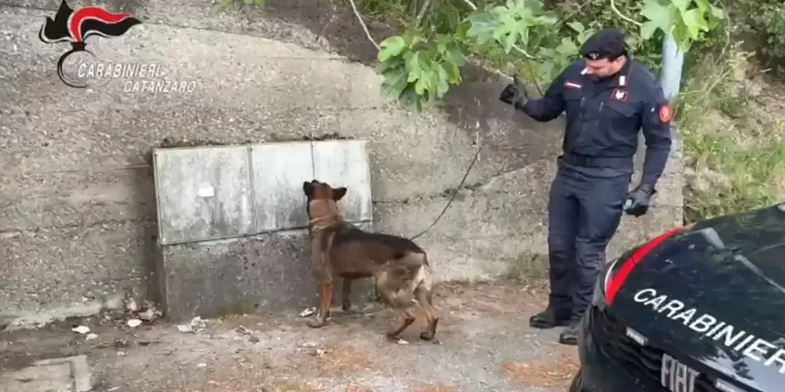 Controlli antidroga dei Carabinieri a Pentone