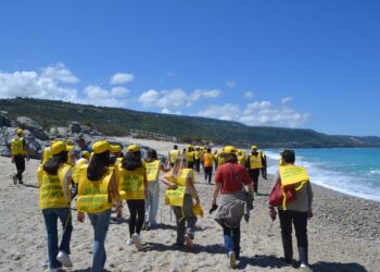 “Tiariamoli su – Tartabeach Tour” Pulizia delle spiagge e attività divulgativa sulle tartarughe marine a Zambrone