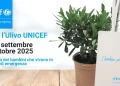 Vibo Valentia tra le eccellenze UNICEF: quinto posto nazionale per la campagna “Ulivo 2025”