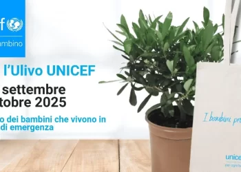 Vibo Valentia tra le eccellenze UNICEF: quinto posto nazionale per la campagna “Ulivo 2025”