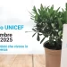 Vibo Valentia tra le eccellenze UNICEF: quinto posto nazionale per la campagna “Ulivo 2025”