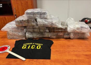 Scoperto un traffico di droga tra Palermo, Reggio Calabria, Napoli e Roma (VIDEO)