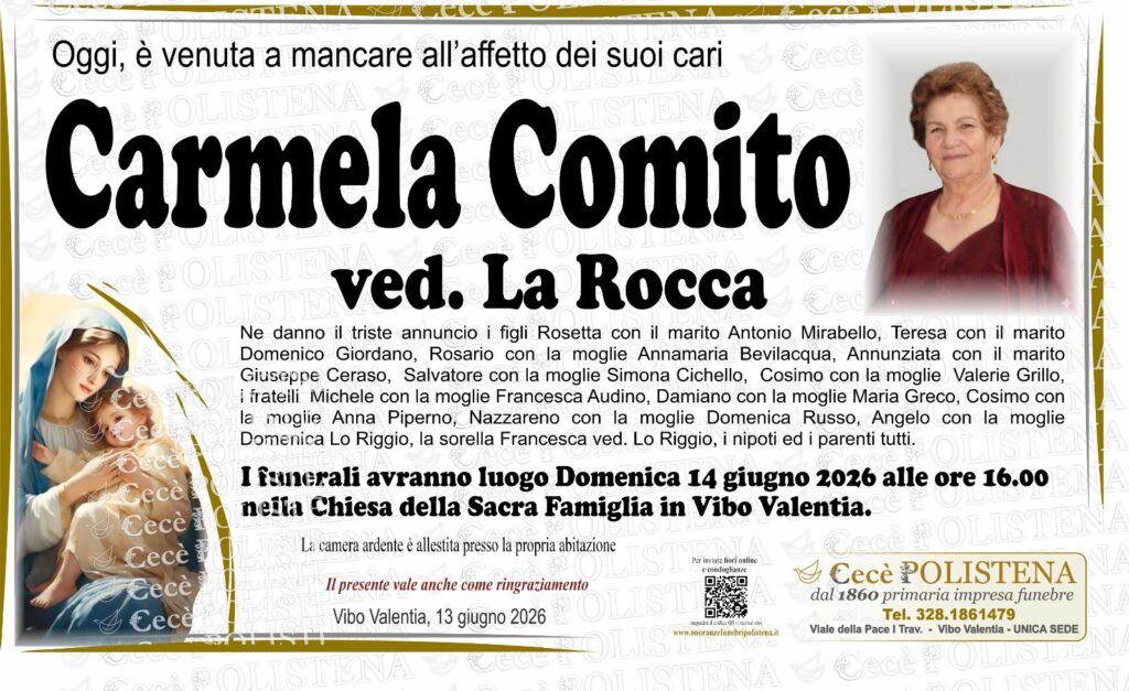 Vibo Valentia, muore una madre esemplare 2 1000891307
