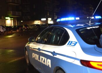 Vibo Valentia, la Polizia arresta un uomo per furto aggravato in un negozio di abbigliamento e recupera la refurtiva 5 Vibo Valentia, la Polizia arresta un uomo per furto aggravato in un negozio di abbigliamento e recupera la refurtiva