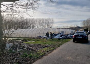 Omicidio di Erdi Varaku a Bra, arrestato a Cetraro un 36enne