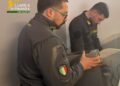 Scommesse via “Whatsapp” e ricariche a distanza scoperte nella provincia di Vibo Valentia 2 Scommesse via “Whatsapp” e ricariche a distanza scoperte nella provincia di Vibo Valentia