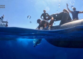 Tornano in mare “Franca” e “Antonella”, le tartarughe caretta-caretta rilasciate dalla Guardia di finanza nel mare vibonese 10 Tornano in mare “Franca” e “Antonella”, le tartarughe caretta-caretta rilasciate dalla Guardia di finanza nel mare vibonese