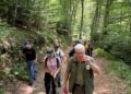 Corso di accompagnamento in attività di Montagnaterapia Calabria organizzato dalle Guardie Ambientali d’Italia