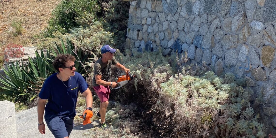 Continua l'opposizione ad incalzare Macrì: dai rifiuti ai selfie con applausi, a Tropea si va avanti con la propaganda dell’autocelebrazione 1 Tropea, il sindaco Macrì non si ferma: ripartito il Corpo Volontari del Principato. Primo angolo città restituito al decoro