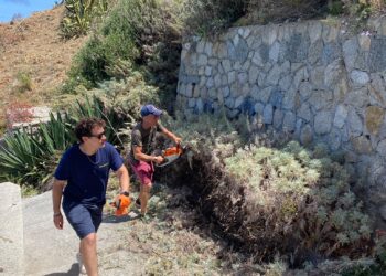 Continua l'opposizione ad incalzare Macrì: dai rifiuti ai selfie con applausi, a Tropea si va avanti con la propaganda dell’autocelebrazione 7 Tropea, il sindaco Macrì non si ferma: ripartito il Corpo Volontari del Principato. Primo angolo città restituito al decoro