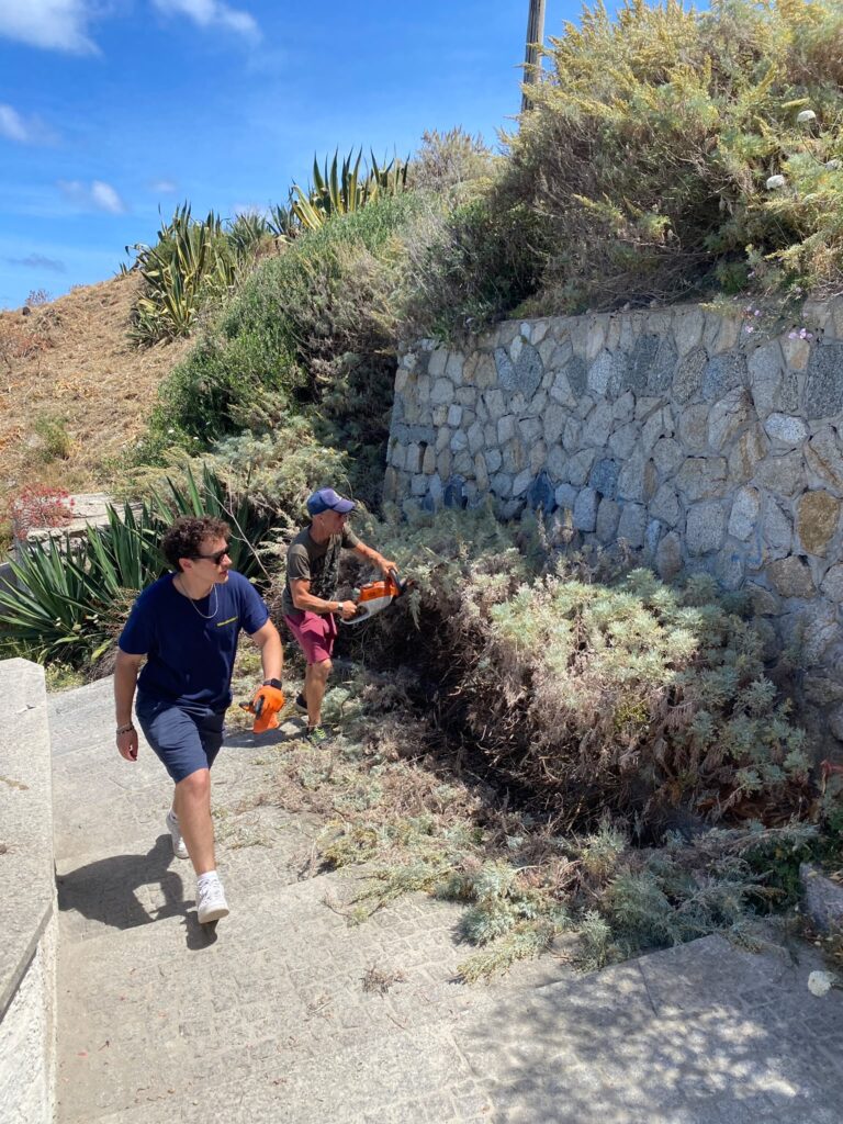Tropea, il sindaco Macrì non si ferma: ripartito il Corpo Volontari del Principato. Primo angolo città restituito al decoro 2 5c117790 6229 4aa9 98d8 a63e120fe688