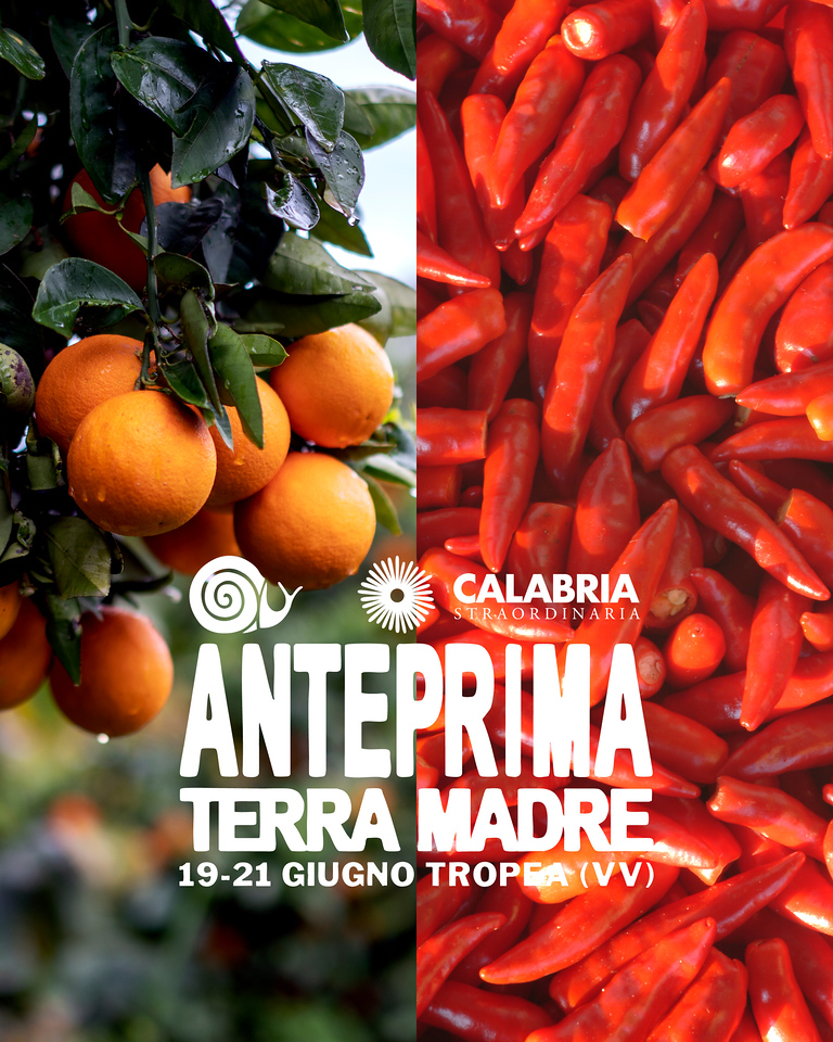 Anteprima Terra Madre 2 X2