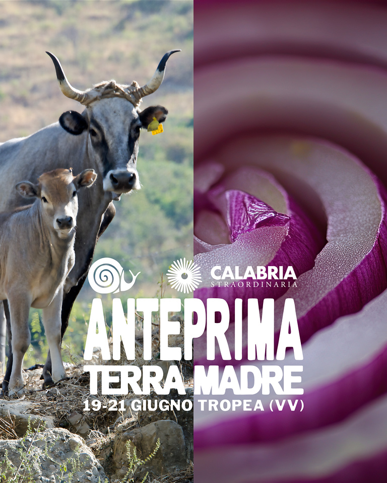 Anteprima Terra Madre 5 X2