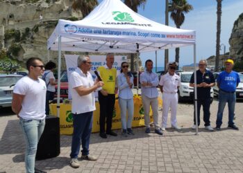 Tropea, “Discovering Sea Turtles”: gli studenti apprendono le tecniche di ricerca dei nidi delle tartarughe marine (VIDEO)