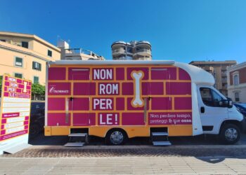 A Scilla la seconda edizione di “Non Romperle! Non perdere tempo, proteggi le tue ossa”, la campagna promossa da Italfarmaco 6 A Scilla la seconda edizione di “Non Romperle! Non perdere tempo, proteggi le tue ossa”, la campagna promossa da Italfarmaco