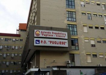 «Mio figlio costretto a ricoverarsi a Catanzaro». Soriano scrive a Occhiuto: «Un ospedale senza personale è solo un edificio» 4 «Mio figlio costretto a ricoverarsi a Catanzaro». Soriano scrive a Occhiuto: «Un ospedale senza personale è solo un edificio»