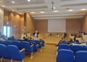 Provincia di Vibo Valentia, concluso il percorso formativo PerForma PA 7 Provincia di Vibo Valentia, concluso il percorso formativo PerForma PA