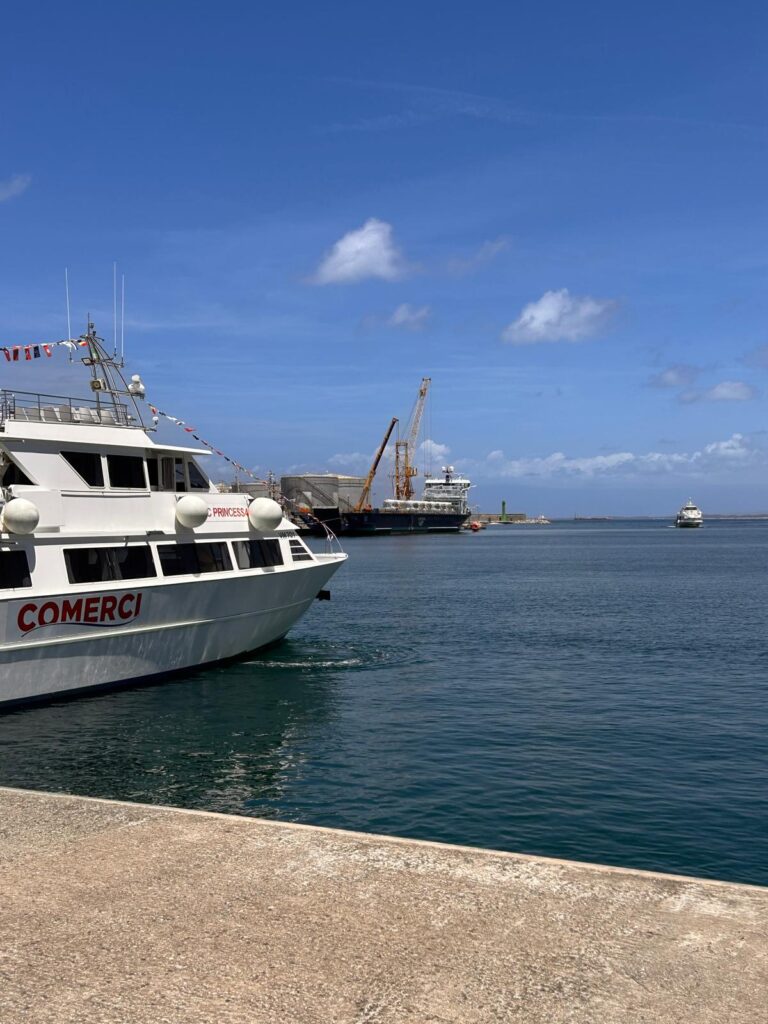 Vibo Marina, il mare che c’è già, che potrebbe produrre economia, ma che nessuno vede (VIDEO) 8 WhatsApp Image 2026 06 04 at 13.33.50