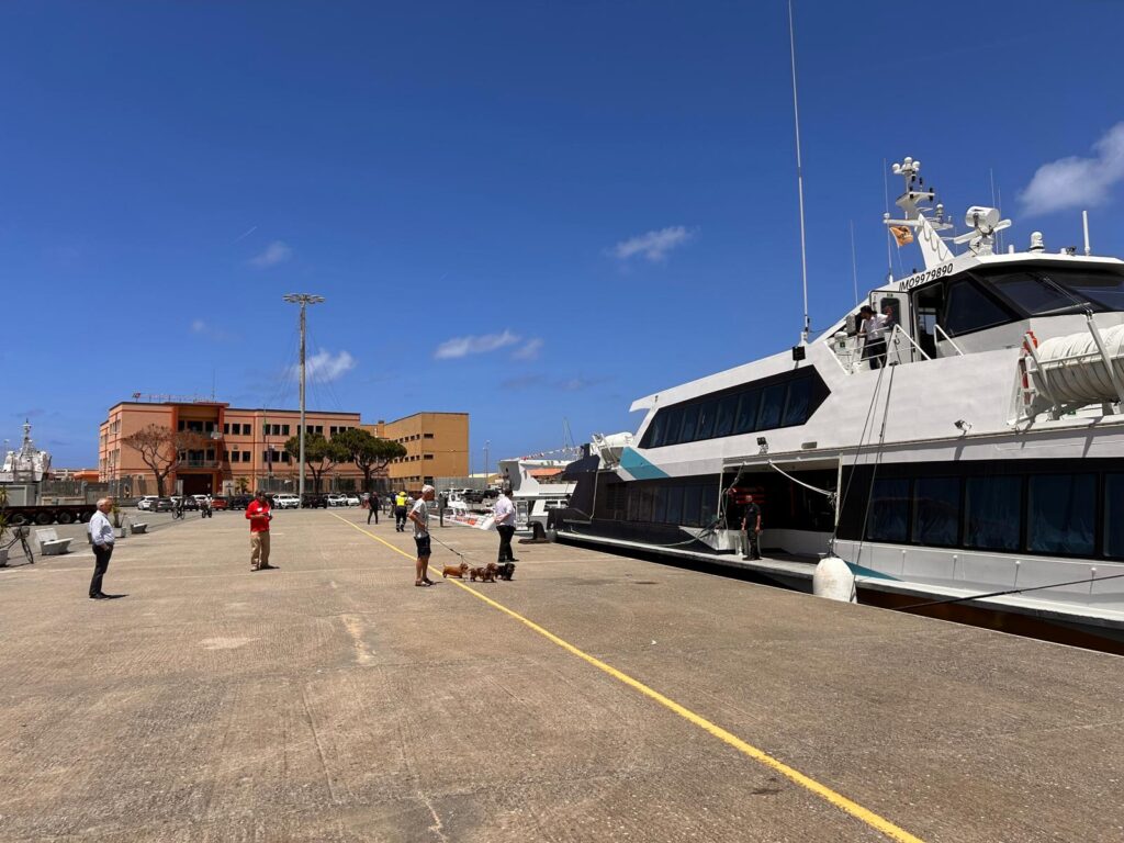 Vibo Marina, il mare che c’è già, che potrebbe produrre economia, ma che nessuno vede (VIDEO) 10 WhatsApp Image 2026 06 04 at 13.33.51 2