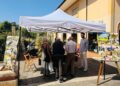A Vibo Valentia torna il “Caffè Alzheimer tra passato e presente”: un luogo di incontro, natura e condivisione