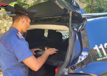 Arrestato un autotrasportatore che portava droga 4 Arrestato un autotrasportatore che portava droga