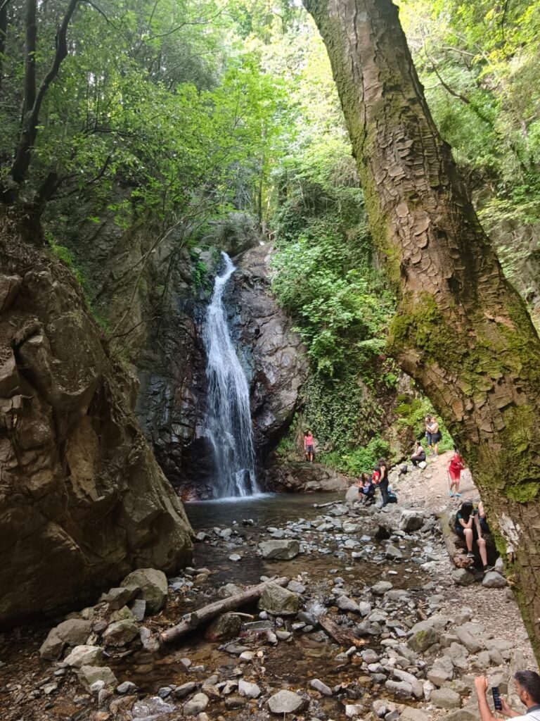 Oltre 400 presenze in due giorni agli Open Day di Linea Selvatica 5 WhatsApp Image 2026 06 22 at 21.24.48 3
