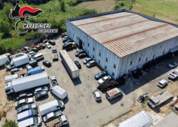 Portosalvo: i carabinieri della stazione di Vibo Marina e del Nucleo Forestale di Vibo Valentia sequestrano un’area di oltre 5.000 mq