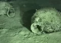 Trovato relitto del V-IV secolo a.C. con 300 anfore al largo della Calabria