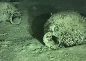 Trovato relitto del V-IV secolo a.C. con 300 anfore al largo della Calabria