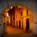 Bari, luce sul mare. Viaggio tra vicoli, tradizioni e orizzonti infiniti. Dalla città vecchia ai borghi bianchi, un racconto lento nel cuore più vero del Sud 8 Bari, luce sul mare. Viaggio tra vicoli, tradizioni e orizzonti infiniti. Dalla città vecchia ai borghi bianchi, un racconto lento nel cuore più vero del Sud