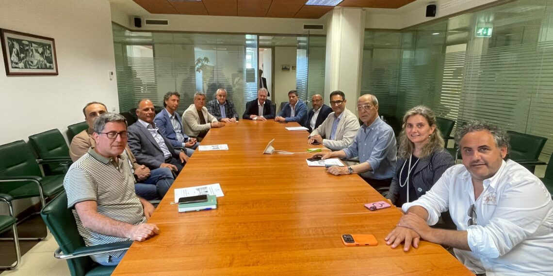 Boschi vetusti, la Regione Calabria sigla accordi con i Parchi per l’individuazione e la tutela delle foreste di maggior pregio