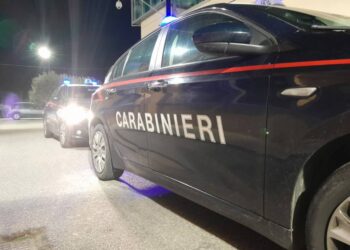 Aggredisce i genitori per questioni economiche: uomo viene arrestato dai Carabinieri a Pallagorio 7 Aggredisce i genitori per questioni economiche: uomo viene arrestato dai Carabinieri a Pallagorio