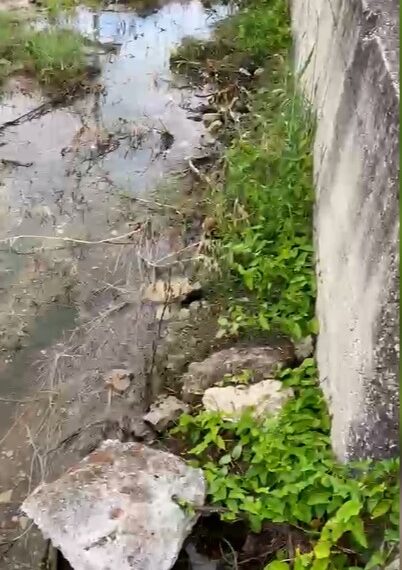 Bivona, tubo rotto e fogna che sversa a cielo aperto... e nessuno interviene in attesa di stabilire le responsabilità (VIDEO) 1 Bivona, tubo rotto e fogna che sversa a cielo aperto… e nessuno interviene in attesa di stabilire le responsabilità (VIDEO)