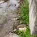 Bivona, tubo rotto e fogna che sversa a cielo aperto... e nessuno interviene in attesa di stabilire le responsabilità (VIDEO) 8 Bivona, tubo rotto e fogna che sversa a cielo aperto… e nessuno interviene in attesa di stabilire le responsabilità (VIDEO)