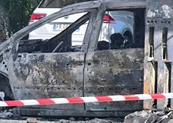 AGROCEPI: “La vicenda di Amendolara richiama l’attenzione sull’accertamento dei fatti e sul rispetto della legalità nel lavoro agricolo”