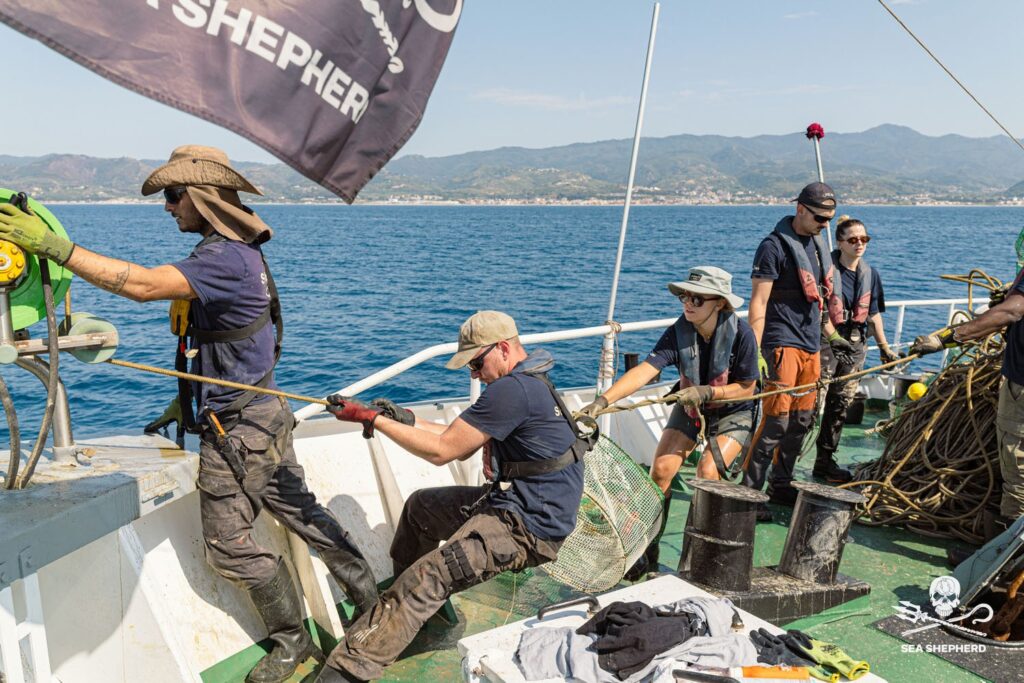 Operazione SISO9 di Sea Shepherd e ROAN di Vibo Valentia 4 operazione siso9 equipaggio recupero attrezzi pesca illegali sea shepherd italia