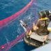 Operazione SISO9 di Sea Shepherd e ROAN di Vibo Valentia 8 Operazione SISO9 di Sea Shepherd e ROAN di Vibo Valentia