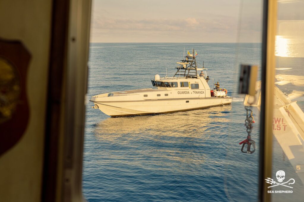 Operazione SISO9 di Sea Shepherd e ROAN di Vibo Valentia 6 operazione siso9 motovedetta guardia di finanza operazione interforze