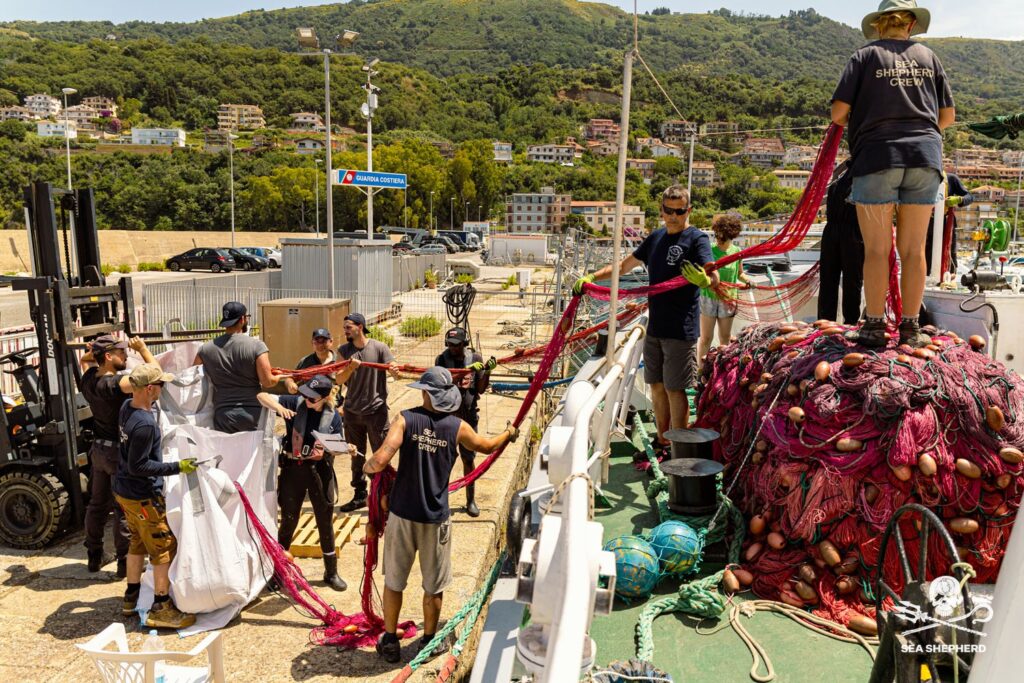 Operazione SISO9 di Sea Shepherd e ROAN di Vibo Valentia 7 operazione siso9 scarico reti illegali porto vibo valentia sea shepherd italia