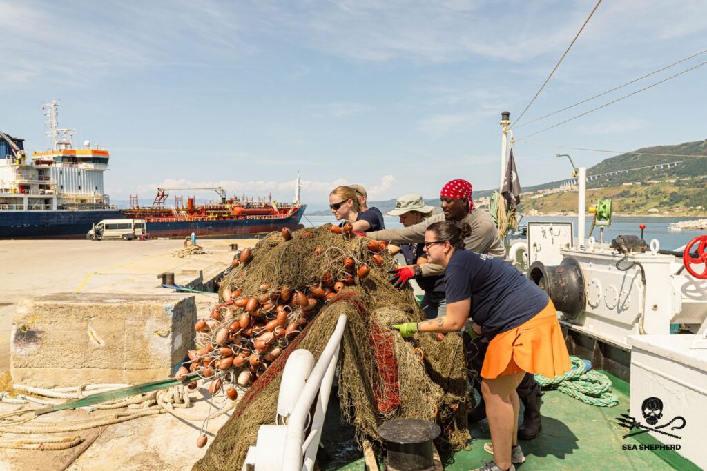 Operazione SISO9 di Sea Shepherd e ROAN di Vibo Valentia 5 operazione siso9 sequestro attrezzi pesca illegali vibo valentia sea shepherd italia