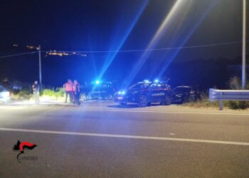 Controlli straordinari dei Carabinieri a Roccabernarda, Caccuri e Santa Severina 7 Controlli straordinari dei Carabinieri a Roccabernarda, Caccuri e Santa Severina