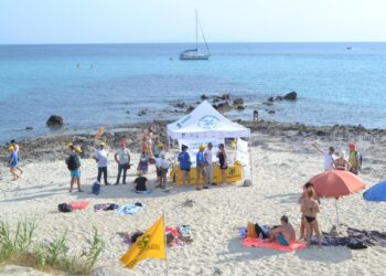 Tarta Beach Tour a Capo Vaticano grazie al Circolo Legambiente di Ricadi (VIDEO)