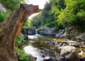 Open Day gratuito alla Riserva Naturale Regionale Valli Cupe: Due giorni per scoprire uno dei tesori naturalistici più straordinari della Calabria