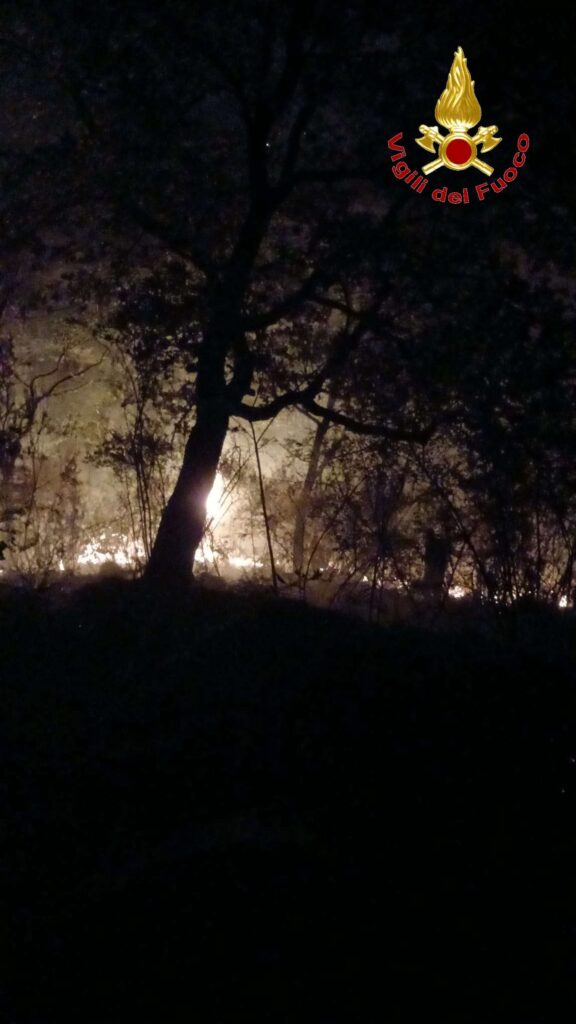 Vigili del Fuoco di Vibo Valentia impegnati per fronteggiare l'emergenza incendi 2 1 2